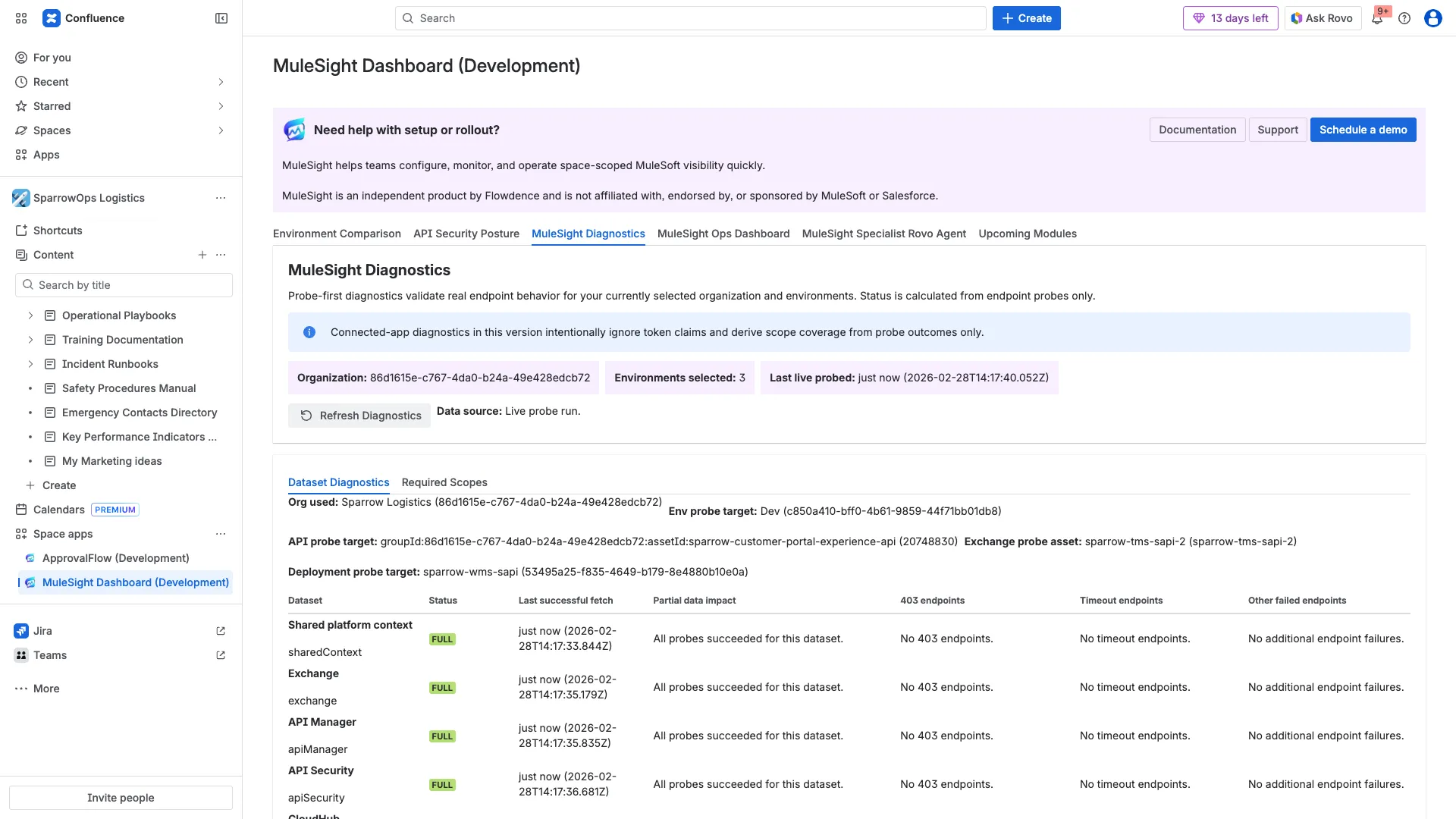 MuleSight Diagnostics dataset view